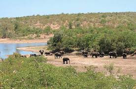 Kruger National Park